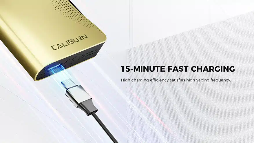 15Min Charger Caliburn AK3 15Min Charger Caliburn AK3